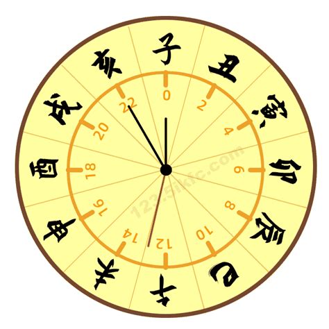 中醫時辰表|流注时辰